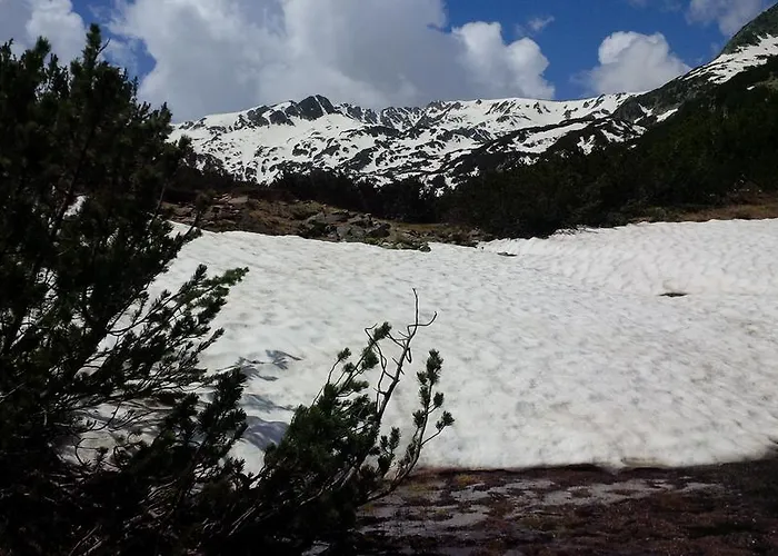 Apartment In Eagle's Nest